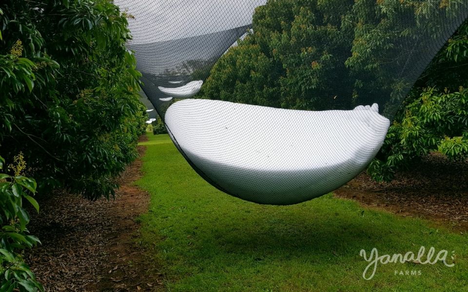 Hail the Sculptures
