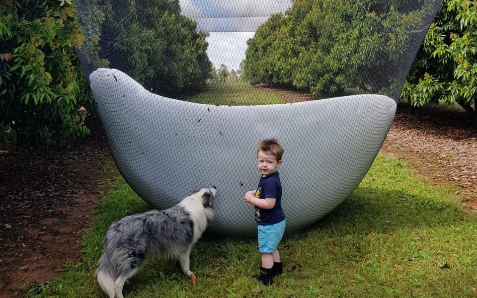 blog events farm updates hail 002