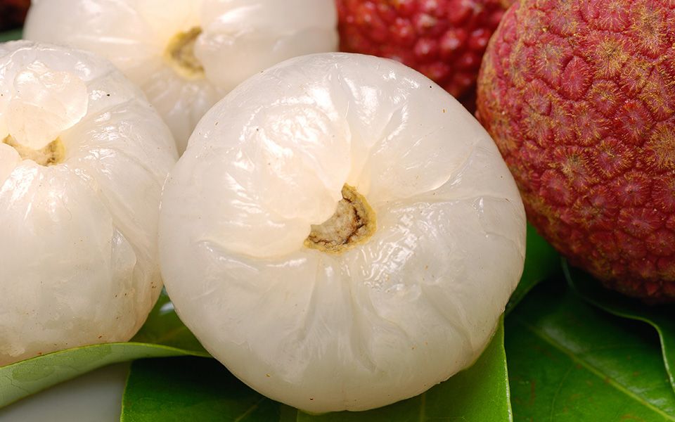 Lychee
